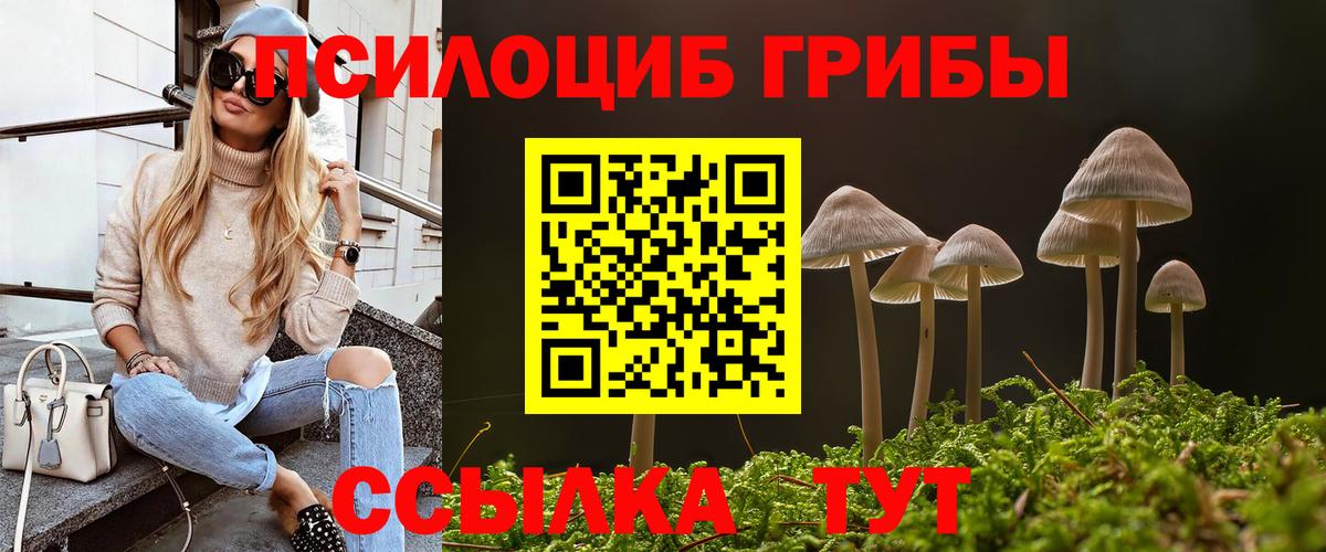 Галлюциногенные грибы Psilocybe Сергиев Посад